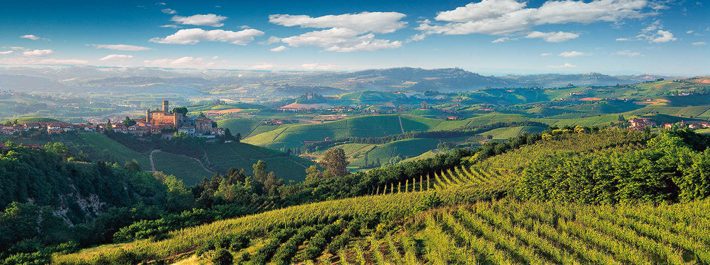 Castiglione-Falletto-vietti