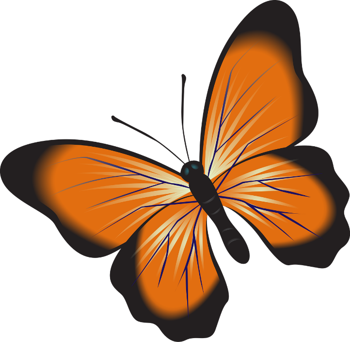 Butterfly Release Fundraiser 2022